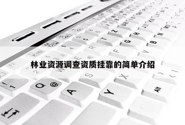 林业资源调查资质挂靠的简单介绍