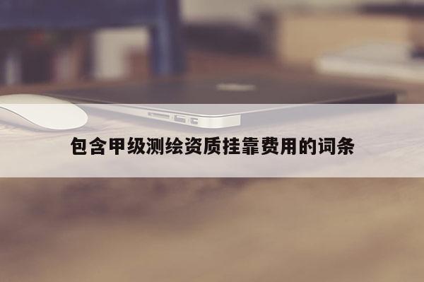 包含甲级测绘资质挂靠费用的词条
